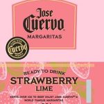 Jose Cuervo Margaritas Strawberry Lime Btl 200ml
